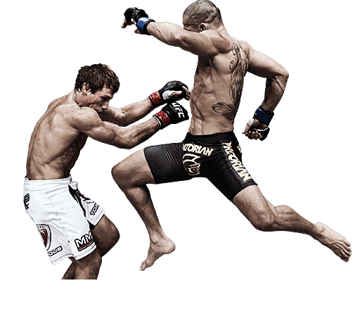 ufc PNG29