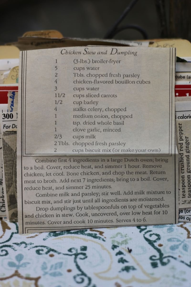 Chicken Stew and Dumpling