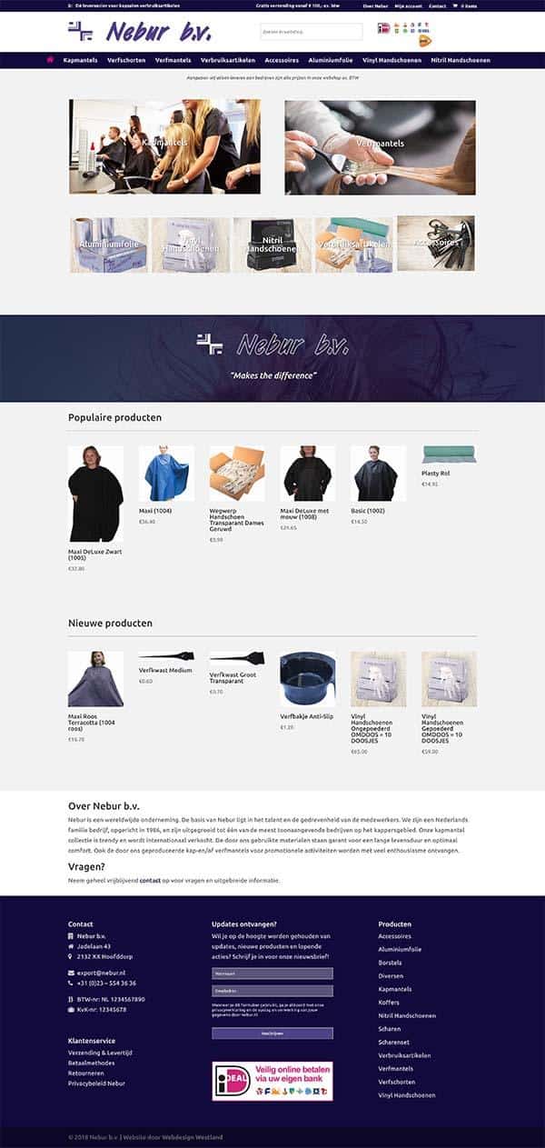 Webdesign bureau Westland maakt een professionele website voor Nebur Webdesign bureau Westland maakt een professionele website voor Nebur
