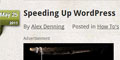Speeding Up WordPress