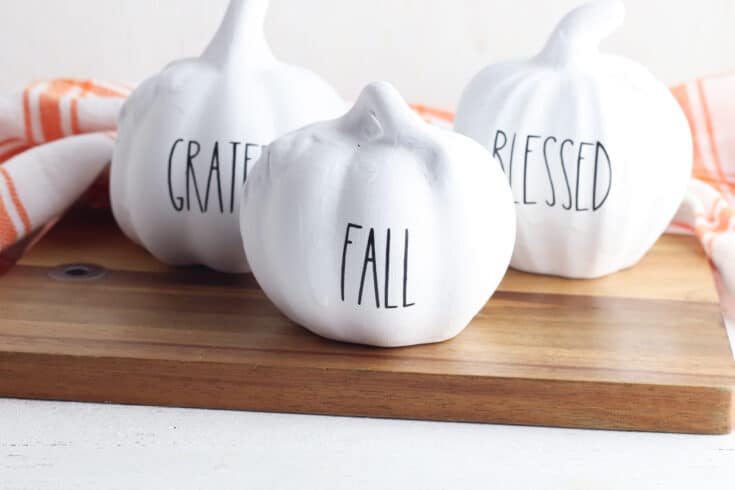 Easy Painted Pumpkin Idea