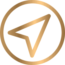 Gold Logo – smaller website wise guide consulting logo