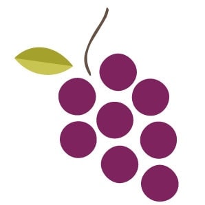 newdeal world institut european mobility agency