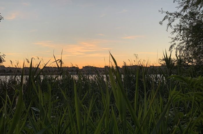 Sunset over bordeaux french linguistic stay