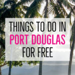 Palm trees as sunset Port Douglas Inlet