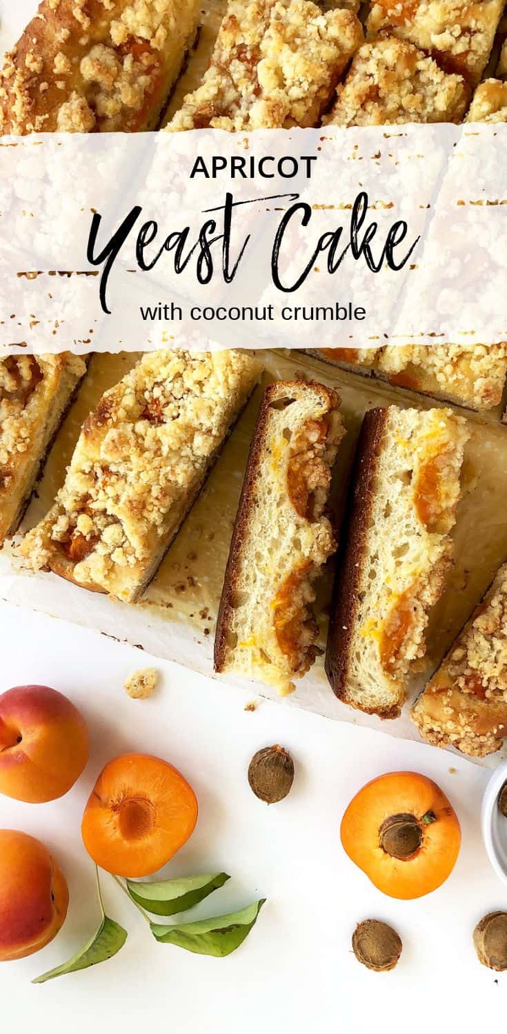 This European yeast cake is made using mayonnaise, milk, flour, sugar and dry yeast as the main ingredients for the dough. The apricots give the cake a nice tangy taste and moisture while coconut crumble adds the sweetness.
#yeastrecipes #apricots #traybake #summerrecipes #dessert #fruitdessert