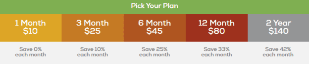 A table showing the different purchase options for a subscription to The Chairman's Bao.