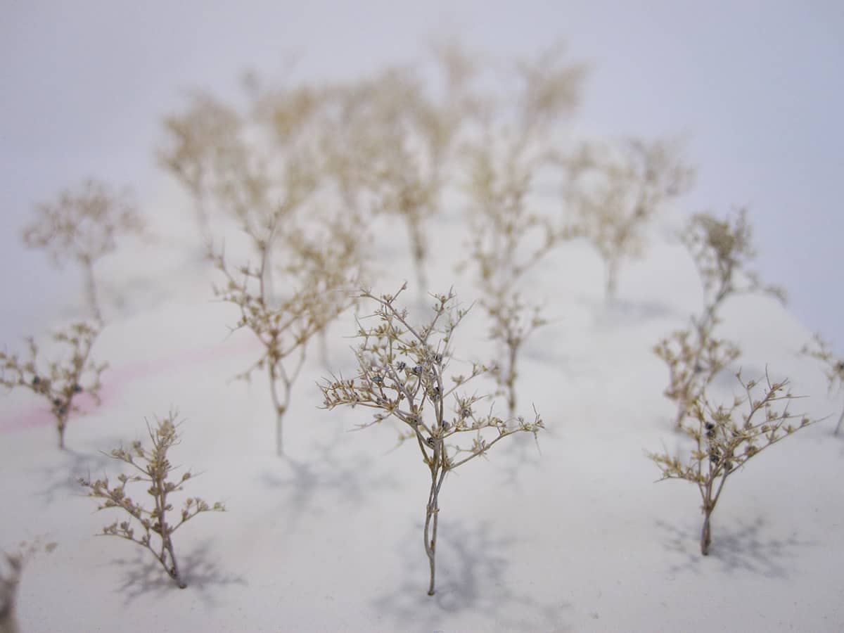 Arbres en écume pour maquette