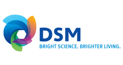 DSM logo