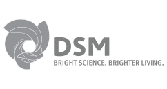DSM logo
