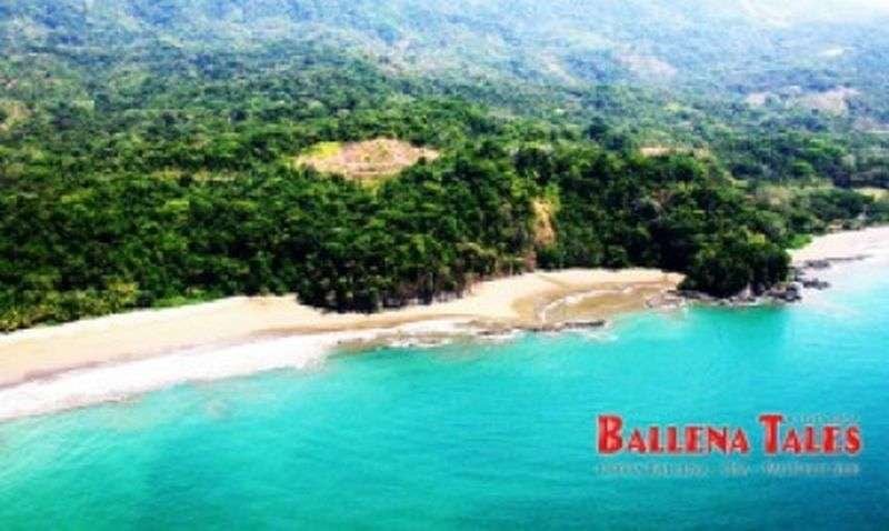 Playa Arco, Parque Marino Ballena