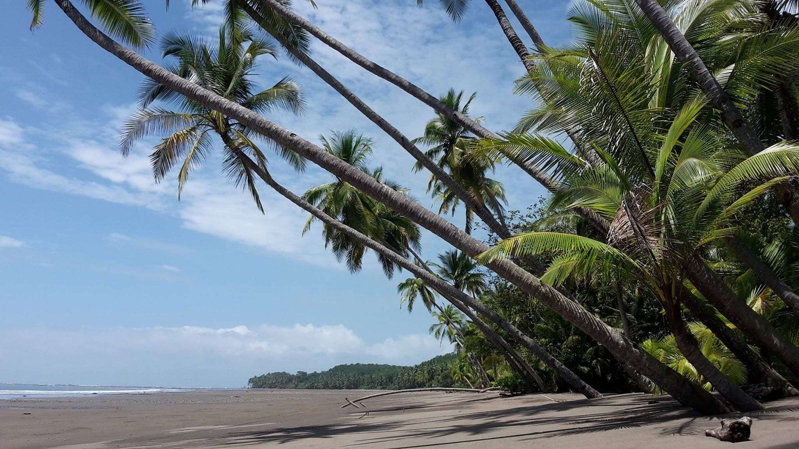 Marino Ballena National Park