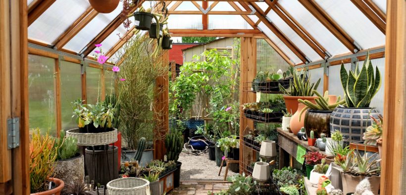 Ein Kaltwintergarten hilft Pflanzen beim Überwintern