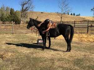 Lea's first time on Noha natural horsemanship intern