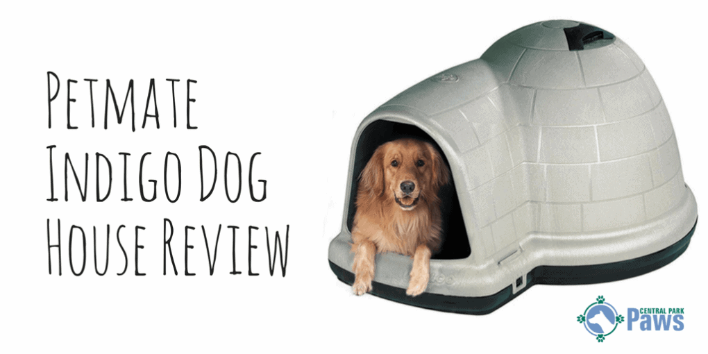 Petmate Indigo Dog House Review Petmate Indigo Dog House Review