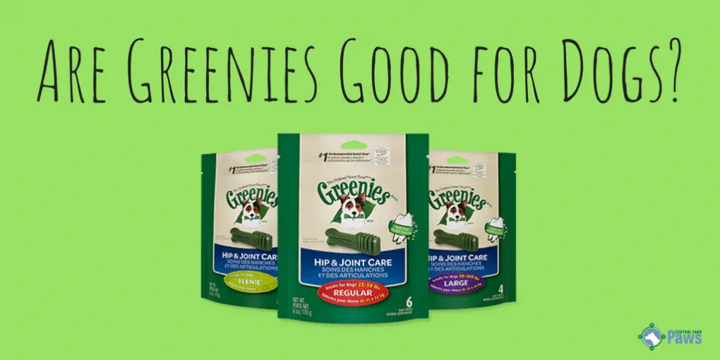 Are Greenies Good or Bad for Dogs Are Greenies Good or Bad for Dogs