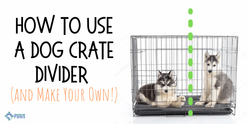 How to Use a Dog Crate Divider (and Make Your Own!) How to Use a Dog Crate Divider (and Make Your Own!)