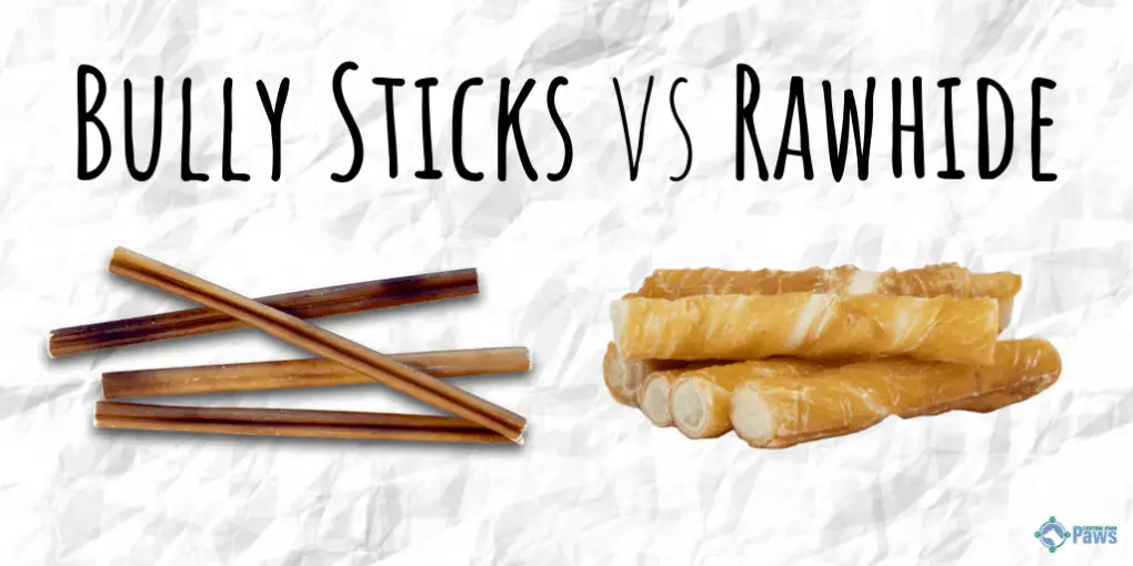Bully Sticks vs Rawhide_ Which is the Best Dog Chew Bully Sticks vs Rawhide_ Which is the Best Dog Chew