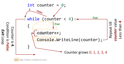 C#'s while Loop Example