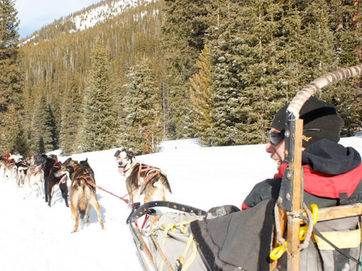 Monarch Dog Sled Rides