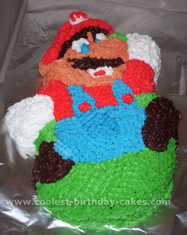 Coolest Super Mario Brother Cakes On The Web S Largest Homemade