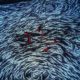 Beware of the Red Herrings: Remaining Diligent Through the Due Diligence Process