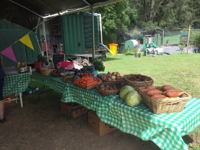 Peak-Organics-Ipswich Peak-Organics-Ipswich