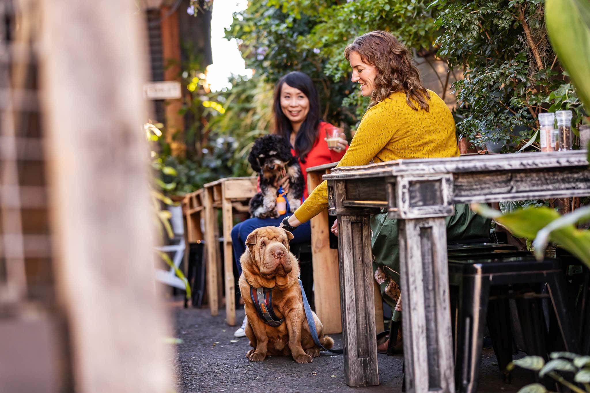 Dog friendly Rafter and Rose cafe is near Riverheart Dog friendly Rafter and Rose cafe is near Riverheart