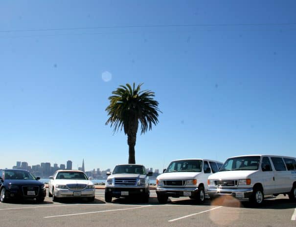 Web Welcome Ventaglio Fleet