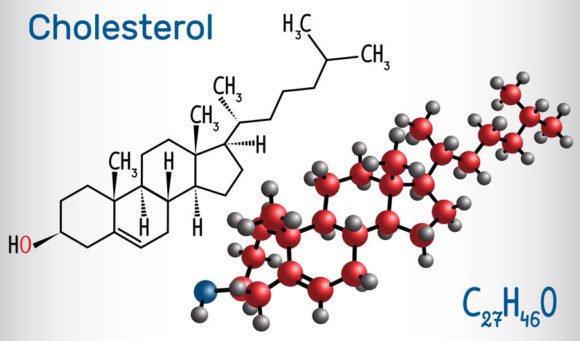 Cholesterol High Density Lipoprotein Chart