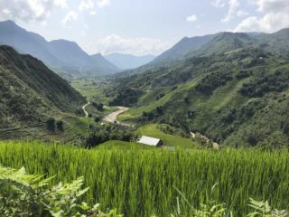 Viaggio in Vietnam in agosto - Risaie a terrazza a Sa Pa