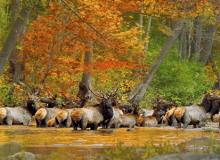 eureka springs motorcycle rides buffalo national river