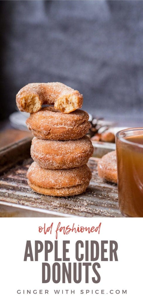 Amazing Apple Cider Donuts Recipe Ginger With Spice