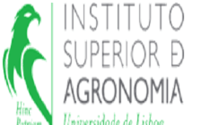 University of Lisbon Inviting Applications to a Scholarship for Master of Science Holder
