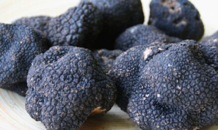Argentina comenzó a exportar trufas negras