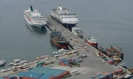 Melella con Meoni: “La ampliación del Puerto de Ushuaia es una obra icónica”