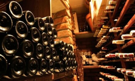 El mundo demanda más vinos argentinos y de más alta gama: sorprendente salto de las exportaciones