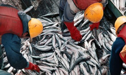 La pesca creció un 12,3 % el último año