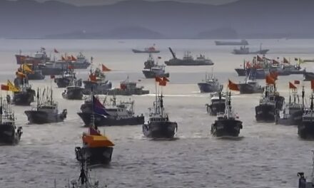 Pesca ilegal: “barcos fantasma” navegaron 600 mil horas con el sistema satelital apagado frente al mar Argentino