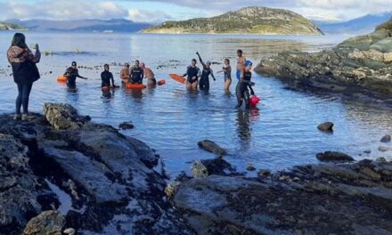 Nadadores de aguas frías recibirán el invierno en el Canal Beagle