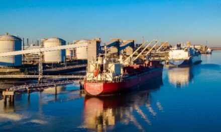 El Puerto de Bahía Blanca consigue nuevas marcas históricas en el primer semestre del año