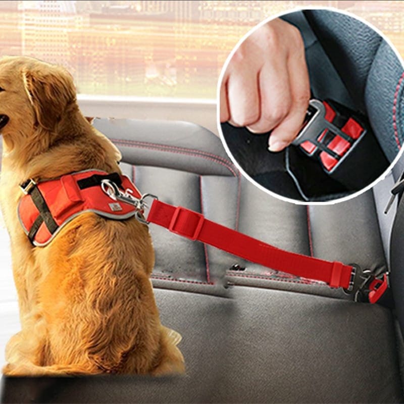 SAFETY CAR SEAT BELT SAFETY CAR SEAT BELT
