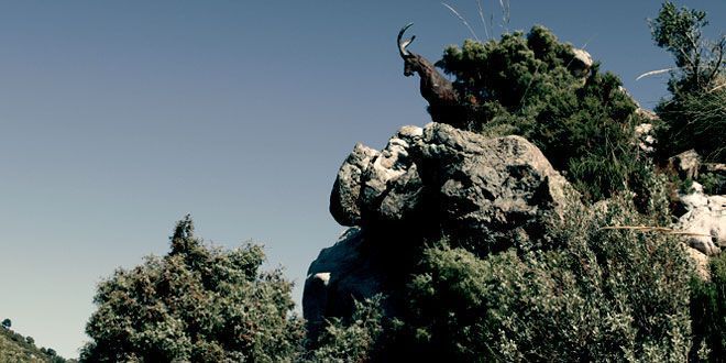 Mirador del Juanar