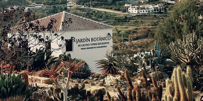 Jardín Botánico de Cactus "Mora i Bravard"