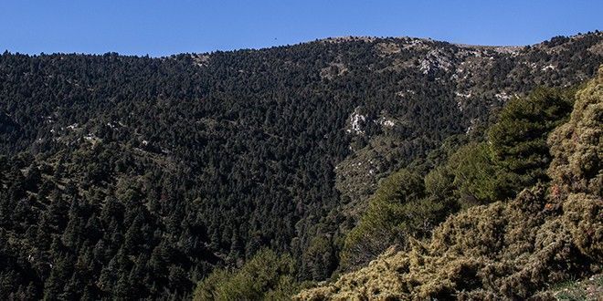 Puerto del Caucón y Mirador de Luis Ceballos 1.247m