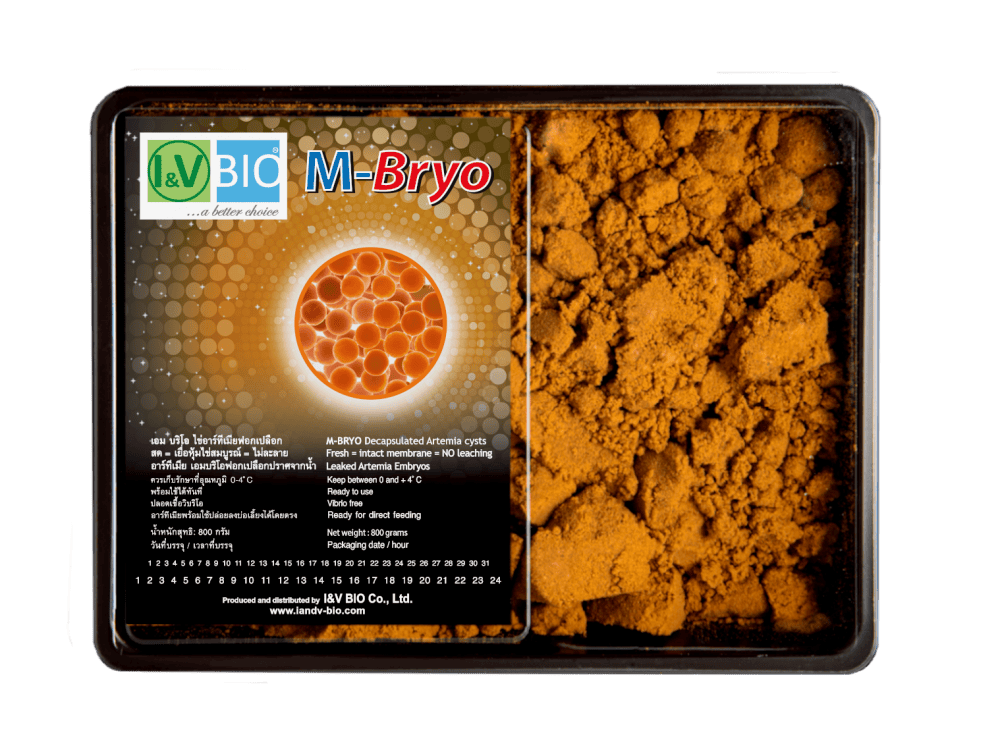 M-bryo tray newv2 M-bryo tray newv2