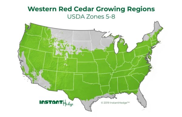 western red cedar growing conditions Western Red Cedar Growing Regions