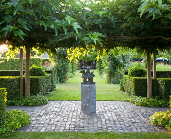 Varying Hedge Heights for Impact laurel shrubs for sale