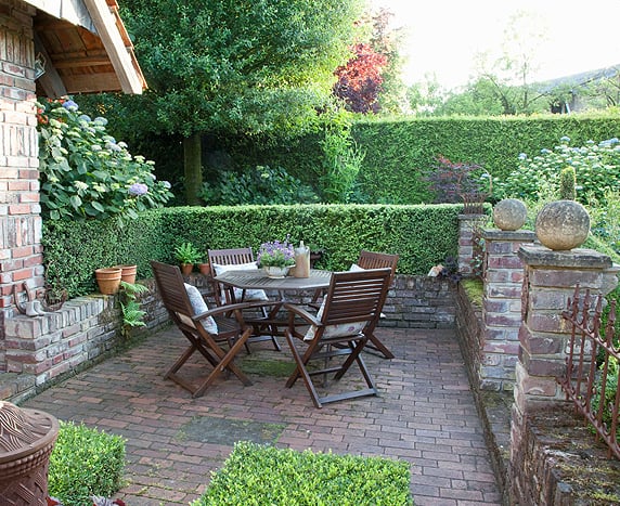 Garden Rooms dark green arborvitae