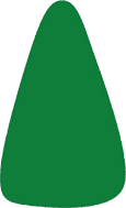 thuja-occidentalis arborvitae types